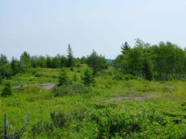 Trail between Chickenbone Lake and Mount Siskiwit