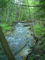 Cascade Creek