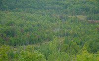 View from Deanman's Hill overlook