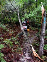 Jon attempting to remove a blowdown across the trail