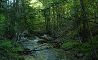 Landslide Creek