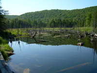 Closeup view from Deanman's Hill overlook