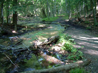 Section 13 Creek