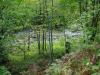 Trail down to the Jordan River
