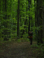 Trail just west of Jordan River crossing