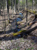 One of the many creeks on the north end of the MRT