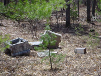 Dumped household goods in Riplows Marsh