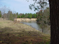 NCT east of Anderson Creek