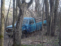 Truck on NCT between Anderson and Wheeler Creeks